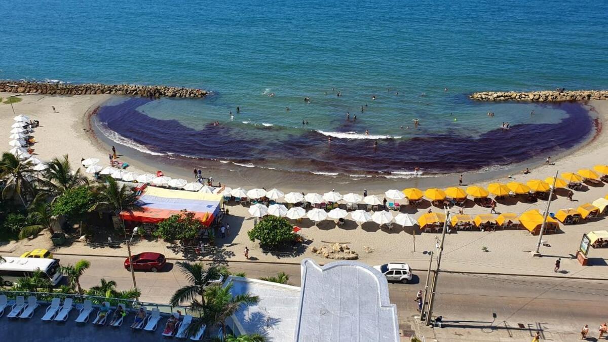 Apartamento Acogedor Frente Al Mar Palmeto 1 P8 *