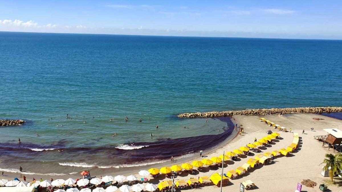 Acogedor Frente Al Mar Palmeto 1 P8 Apartamento